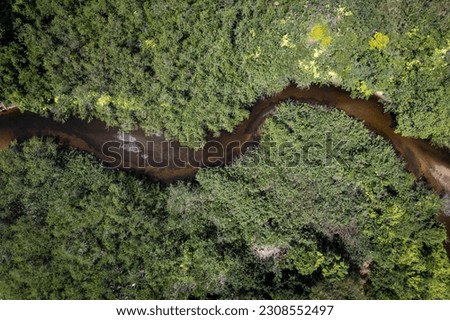 Aerial drone view of beautiful river and forest trees of mata atlantica biome in sunny summer day. Paraty, Rio de Janeiro, Brazil. Concept of environment, nature, ecology, vacations, travel, tourism. Royalty-Free Stock Photo #2308552497