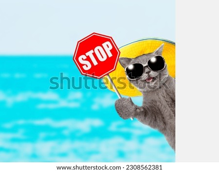 Happy cat wearing summer hat and sunglasses looks from behind empty board and shows stop sign at sunny beach