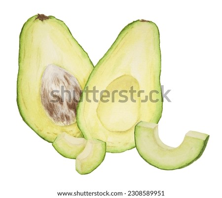 Avocado halves and pieces watercolor hand drawn realistic illustration. Green and fresh art of salad, sauce, guacamole, smoothie ingredient. For textile, menu, cards, paper, package design