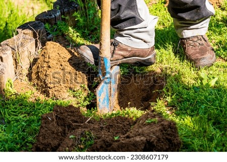 Man in gray work clothes digging hole with shovel to plant bushes in garden.