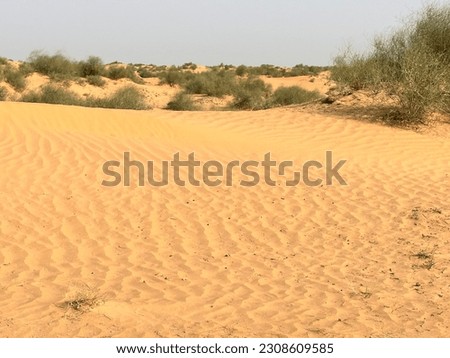 Desert photography, nature, beautiful, sahara, cholistan