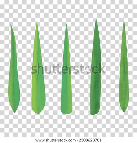 Hand painted green leaft bamboo branches can be used as a variety of design elements.Great for gift-wrap, poster card and with have High quality clipping mask.