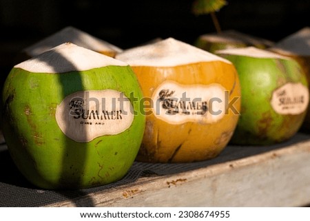 the unique shape of a coconut fruit or cocos nucifera with a sign is 'hello summer' in a modern cafe