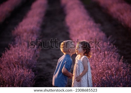 Close-up portrait of little girl kissing boy on the cheek in the rows of purple lavender field. Loving cute couple of children have fun in nature. Family day, carefree, cheerful childhood. Copy space