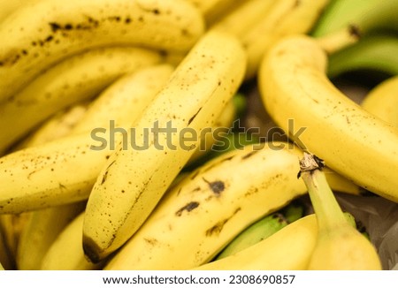 Image of bananas stocked in market for consumption.