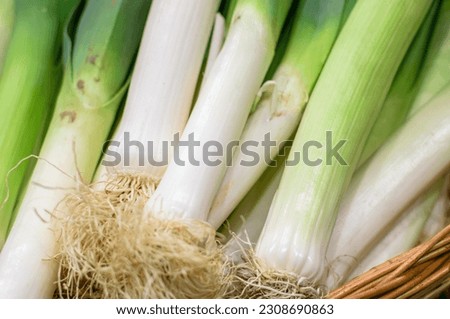 Image of leeks stocked in market for consumption.