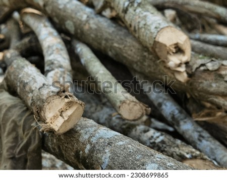 Detailed pictures taken at close range of piles of dry wood ready to be used as a bonfire