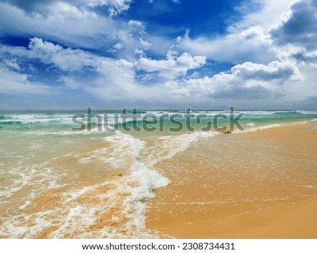beautiful waves in the sea