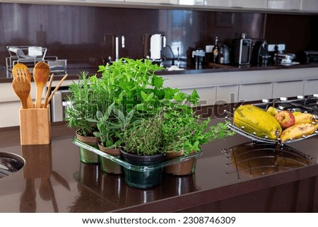 variety of aromatic culinary herbs in vases over the sink in a modern kitchen