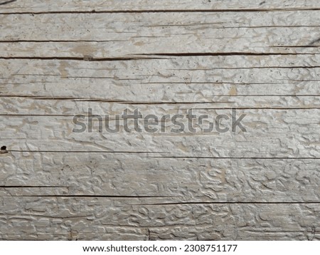 Texture of grey smooth wood without bark, straight cracks. Wooden background. Smooth trunk surface with bark beetle corridor pattern. Forest pests made an interesting picture.