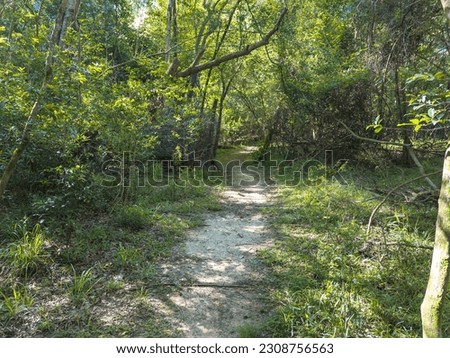 Trail in Harris County, Texas.