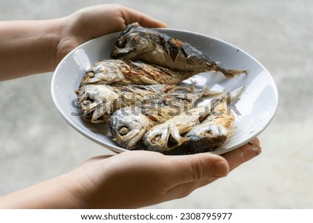 Fried mackerel in white plate in hand, stock photo