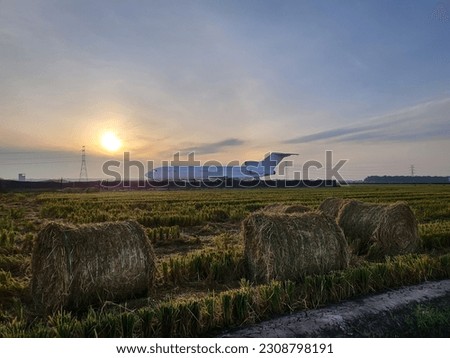 Landscape of harvested rice paddy field during sunrise with background of an old craft converted to business premise as new tourist attraction in Sekinchan, Selangor, Malaysia. 