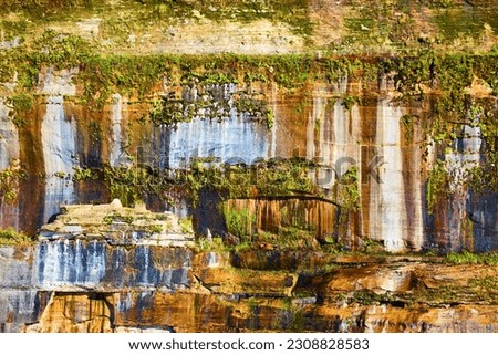 Background asset of green moss lichen growing off Pictured Rocks with minerals dripping down stone