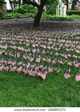 Field of small American flags displayed on the honor and memory of Veterans. Memorial day. War