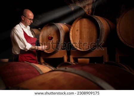 winemaker exam his red  products at wine cellar Royalty-Free Stock Photo #2308909175