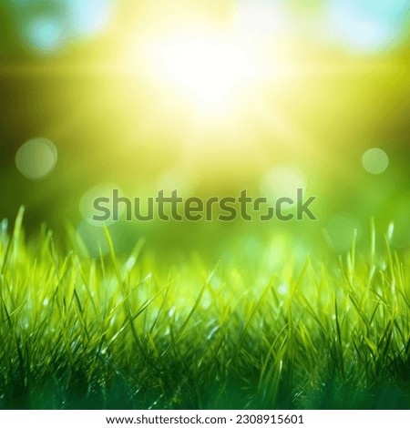 Fresh green grass background in sunny summer day. Blurred nature background. A natural spring garden background of fresh green grass for product display