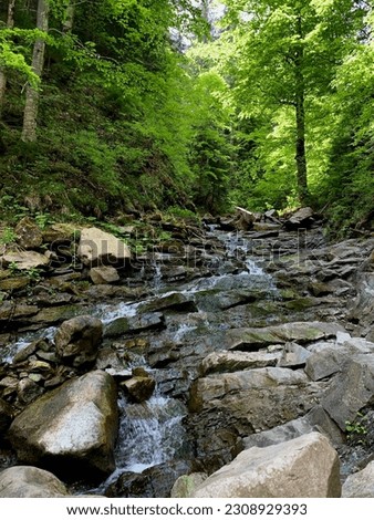Beautiful forest landscape. the stream beats against the stones