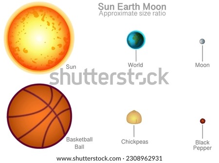 Sun, earth, moon size comparison ratio diagram. Basketball ball, solar approximate chickpeas, world black pepper, dimension rate. Big to small. Science homework experiment example. Vector illustration