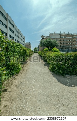 Dirt path between hedges and plants of a residential housing development