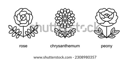 Rose, chrysanthemum, peony - flowers set. Icon set. Flowering ornamental plants bundle. Botanical illustration for a label, flower shop, mobile app, design. Linear style, editable stroke