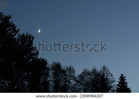 Night scene in the forest, the starry sky above the forest and the moon.