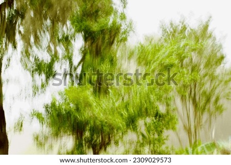 ICM Photography - Intentional Camera Movement of trees using the wind to create the movement!
