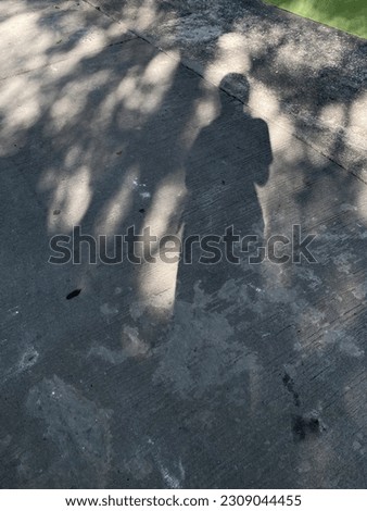 Shadows of a woman and the tree.