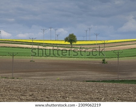 Countryside landscape, rural, fields hills panoramic landscape. Spring on the country. Yellow rapeseed. Lublin province, Roztocze Poland.