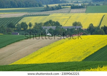 Countryside landscape, rural, fields hills panoramic landscape. Spring on the country. Yellow rapeseed. Lublin province, Roztocze Poland.