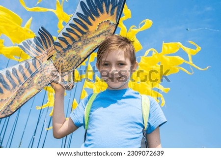 a happy boy holds in his hand a flying kite with a picture of a bird, a joyful child at the festival, the festival of flying kites on a sunny day, in summer