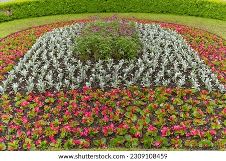 Beautiful flower bed at city hall of Swiss town Winterthur on a cloudy spring day. Photo taken May 17th, 2023, Winterthur, Switzerland.