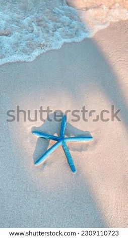 This picture i took and i edit with my self. a beautiful looking starfish that I found in one of the seas in Indonesia