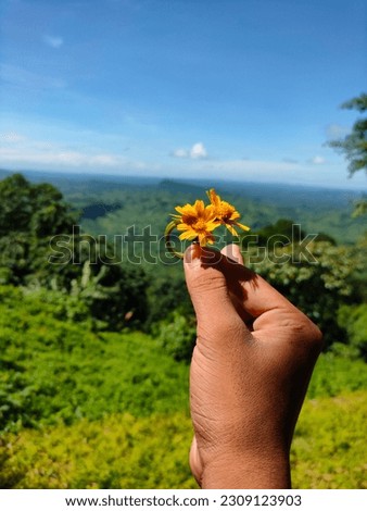 Enchanting Wild flower - A Captivating Tapestry of Nature's Delights Royalty-Free Stock Photo #2309123903