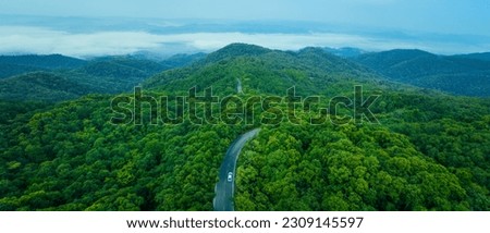 Aerial view of a car on deep jungle road. Asphalt road crossing the vast forest on a sunny summer day.