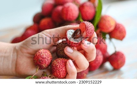 lychees on hand, fresh ripe lychee fruit tropical fruit peeled lychees slice in Thailand  Royalty-Free Stock Photo #2309152229