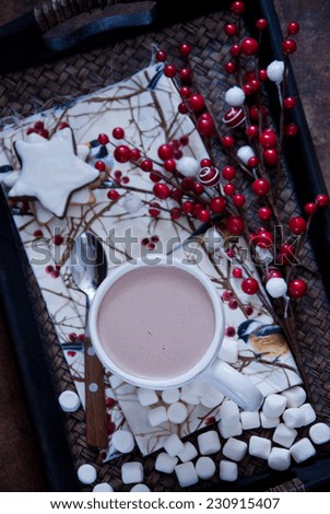 Hot chocolate with marshmallows at Christmas Time