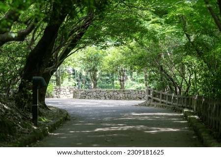 Scenery of early summer nature walk around Takaoka Castle Park, Imizu Shrine, Takaoka City, Toyama Prefecture.