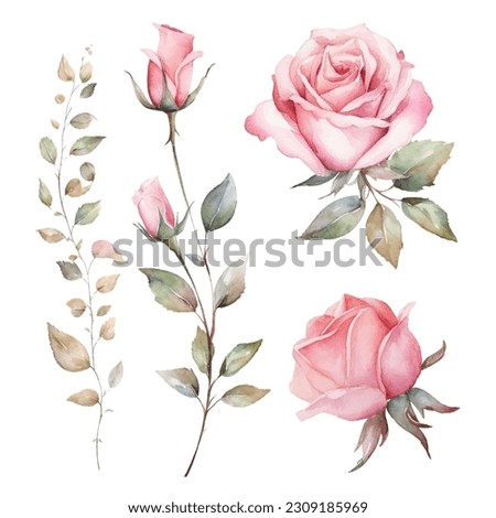 watercolor rose flower set for invitaion, card and fabric design