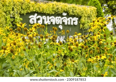 Decorative signs for gardens and plants in the garden of Bangkok, Thailand.