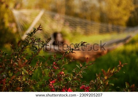 a beautiful woman is resting in nature lying in a mesh hammock in a long orange dress looking to the side, propping her head with her hand. Horizontal photo without focus