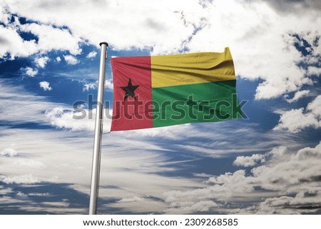 Flag of Guinea-Bissau 2023 Guinea-Bissau legislative election