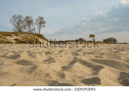 Beautiful sandy dunes of Baltic Spit. Sunny day, Calmness, peaceful in nature. Soft blue, yellow, green colors. 