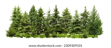 Different green trees and plants on white background Royalty-Free Stock Photo #2309309101