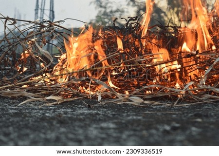 selective focus, narrow depth of field, fire in the process of burning, red, orange and yellow, Heat energy tightly stacked, heat energy at fuel point.
