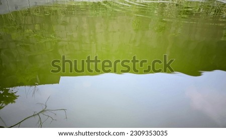 Old pond in backyard near bushes with muddy green water contaminated by sunlight and moss Royalty-Free Stock Photo #2309353035