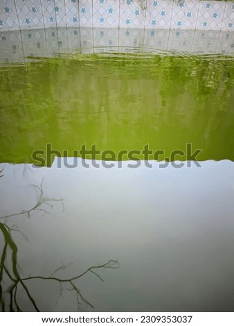 Old pond in backyard near bushes with muddy green water contaminated by sunlight and moss Royalty-Free Stock Photo #2309353037