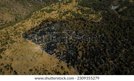 Forest fire in a high mountain forest, the black color is observed after the fire, taken from a drone.