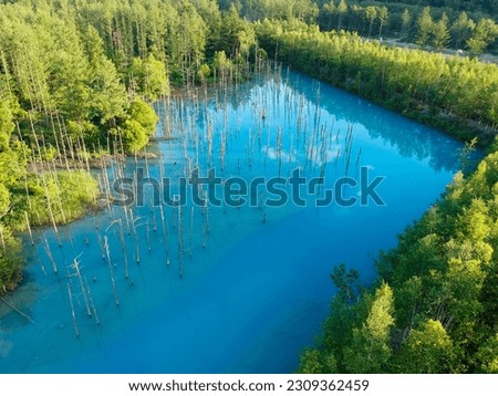 Aerial view of beautiful of Shirogane blue pond or Aoike in Biei town in Hokkaido, Japan