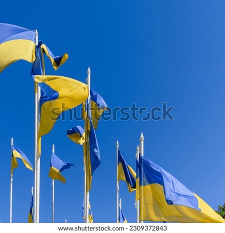 flags of ukraine against the blue sky near the embassy of russia in latvia